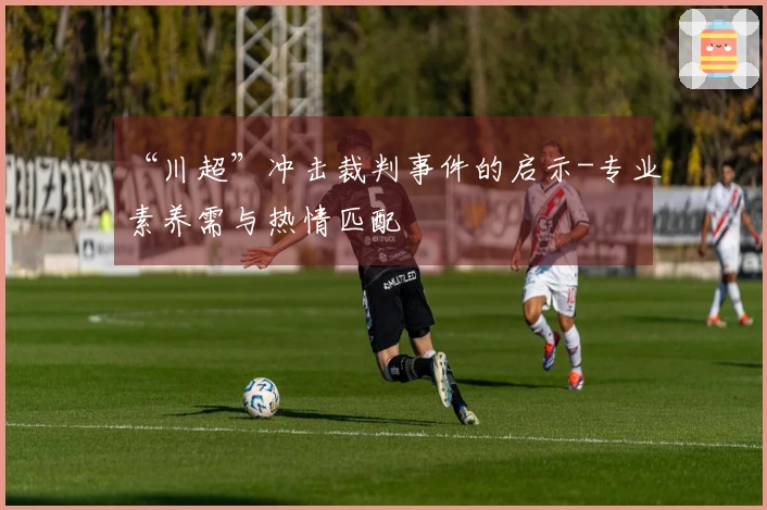 “川超”冲击裁判事件的启示-专业素养需与热情匹配